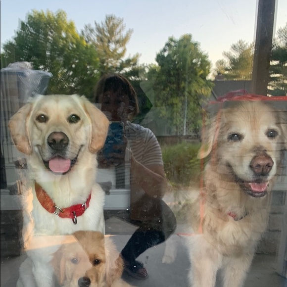 Meet your Posher, Kate - Picture 5 of 9